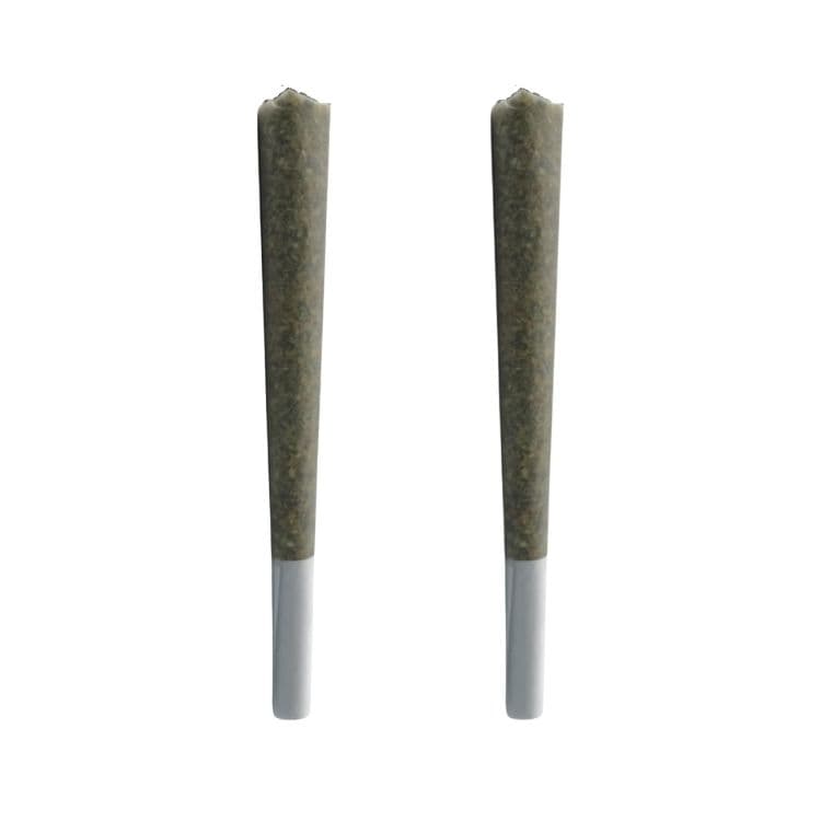 November Rain November Rain : Dreamcatcher Pre-Rolls (2 x