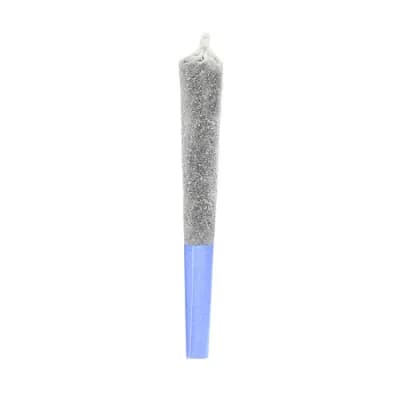 Potluck