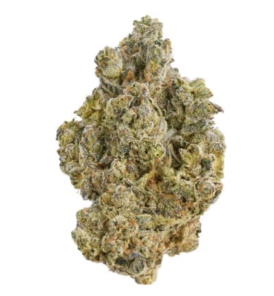 Broken Coast