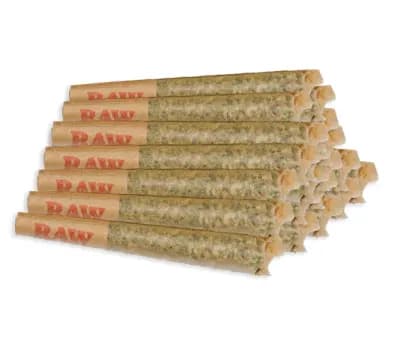 BC Green Alien Gushers Pre-Rolls - Indica - 20x0.5g