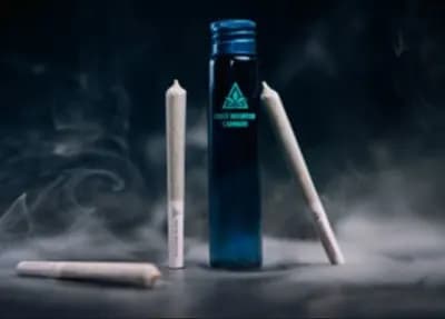 Coast Mountain Cannabis