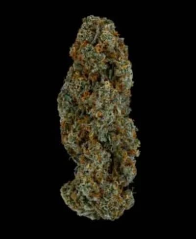 Coast Mountain Cannabis