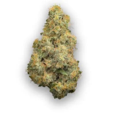 Coast Mountain Cannabis