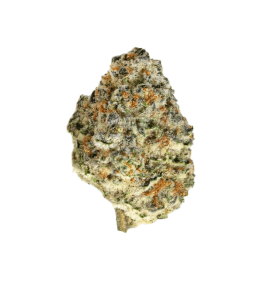 FIGR Midnight Sherb