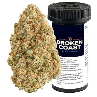 Broken Coast