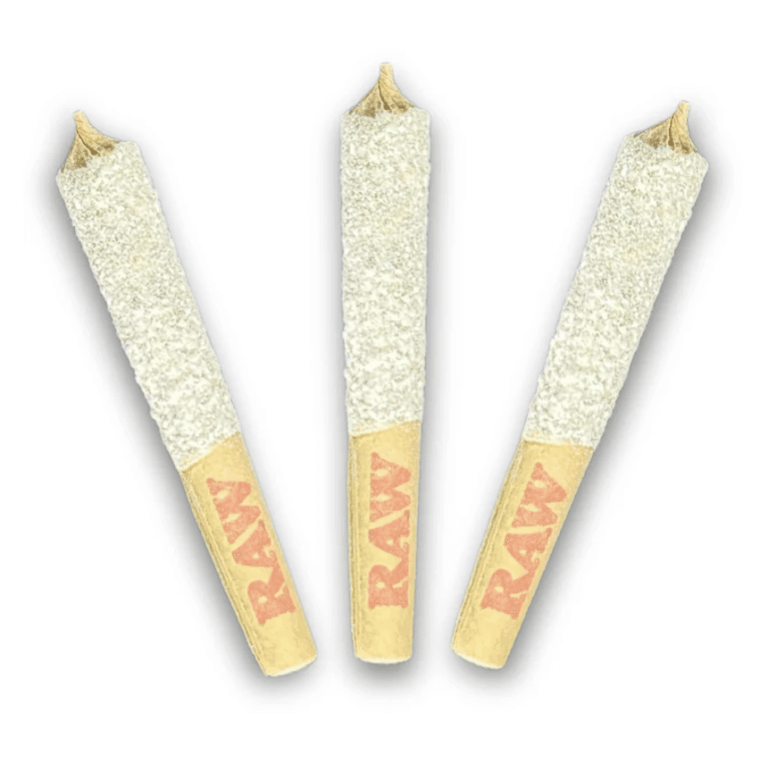 Dab Bods PURPLE ELEPHANT 50S TRIPLE INFUSED PRE-ROLLS - 1.5