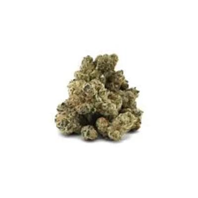 PureFire PureFire Critical Condition 14G