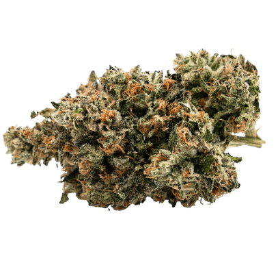 West Coast Gas
