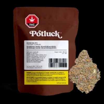 Potluck Potluck - Dried Flower - Beaver Tail