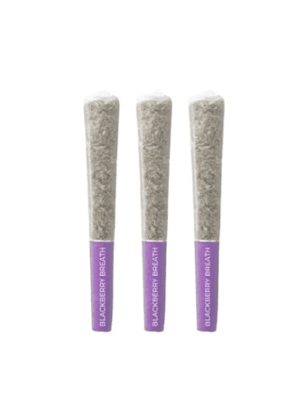 Pistol and Paris Blackberry Breath