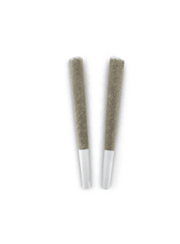 BC Doobies