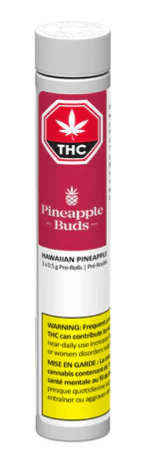 Pineapple Buds Hawaiian Pineapple Pre-Roll 3-Pack | 1.5g
