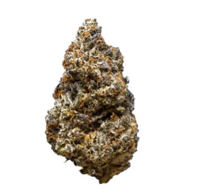 3rd Coast Genetics OOOZE BREATH