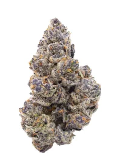 SIMPLE PLEASURES Indica-Dominant INDICA (WATERMELON ZKITTLEZ)