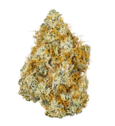 Coast Mountain Cannabis