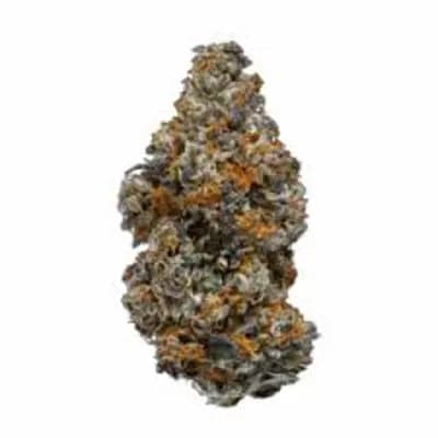 Coast Mountain Cannabis