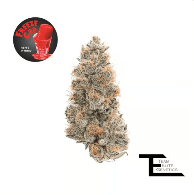 Team Elite Genetics