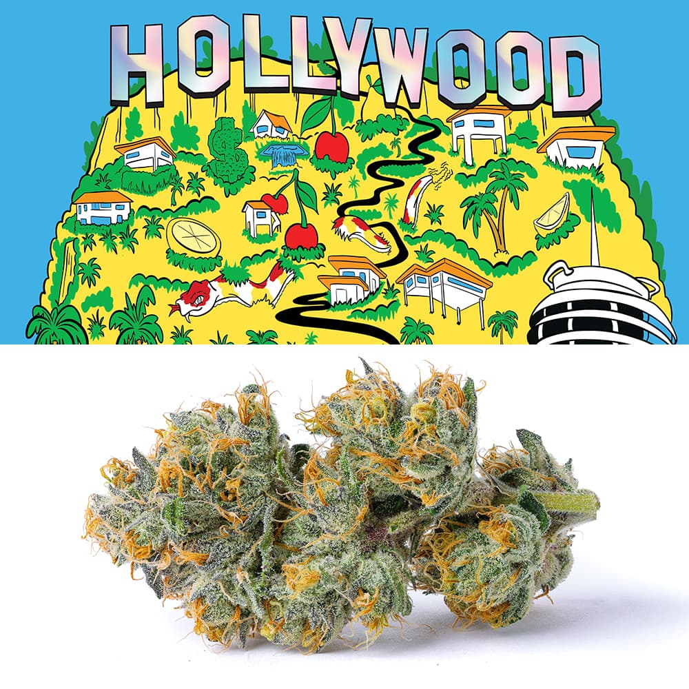 Cookies Flower