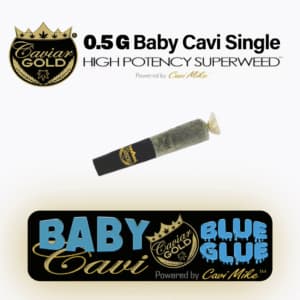 CAVIAR GOLD Blue Glue