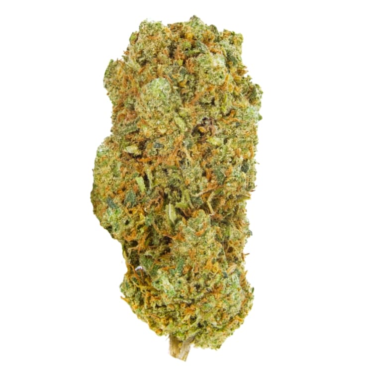 1964 Supply Co. 1964: BLUE DREAM