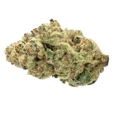 The Loud Plug The Loud Plug : EXOTIC GAS