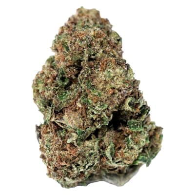 Jonny Chronic Jonny Chronic : NORTHERN LIGHTS