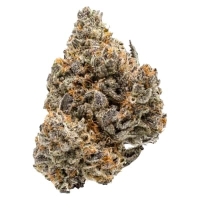 SIMPLY BARE ORGANIC BC Organic Lemolada LTO Flower - Indica