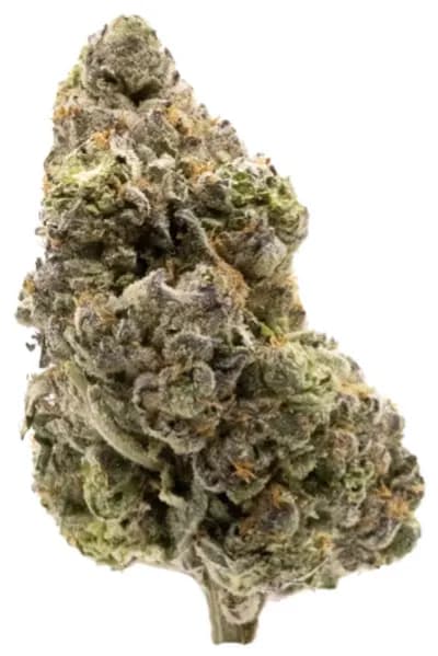 FIGR Midnight Sherb by FIGR - Midnight Sherb