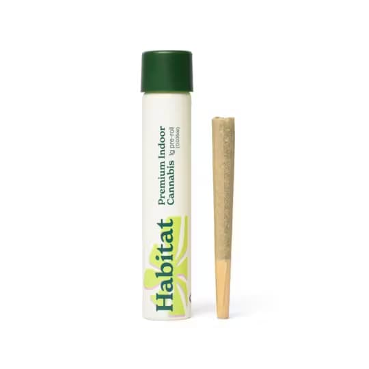 Habitat Habitat - Hotcakes Pre Roll (I)