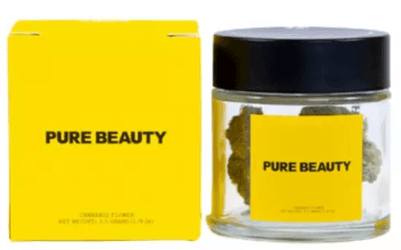 Pure Beauty Mango Mintality [S] - Flower