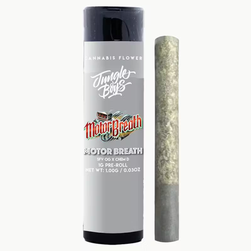 Jungle Boys Motorbreath