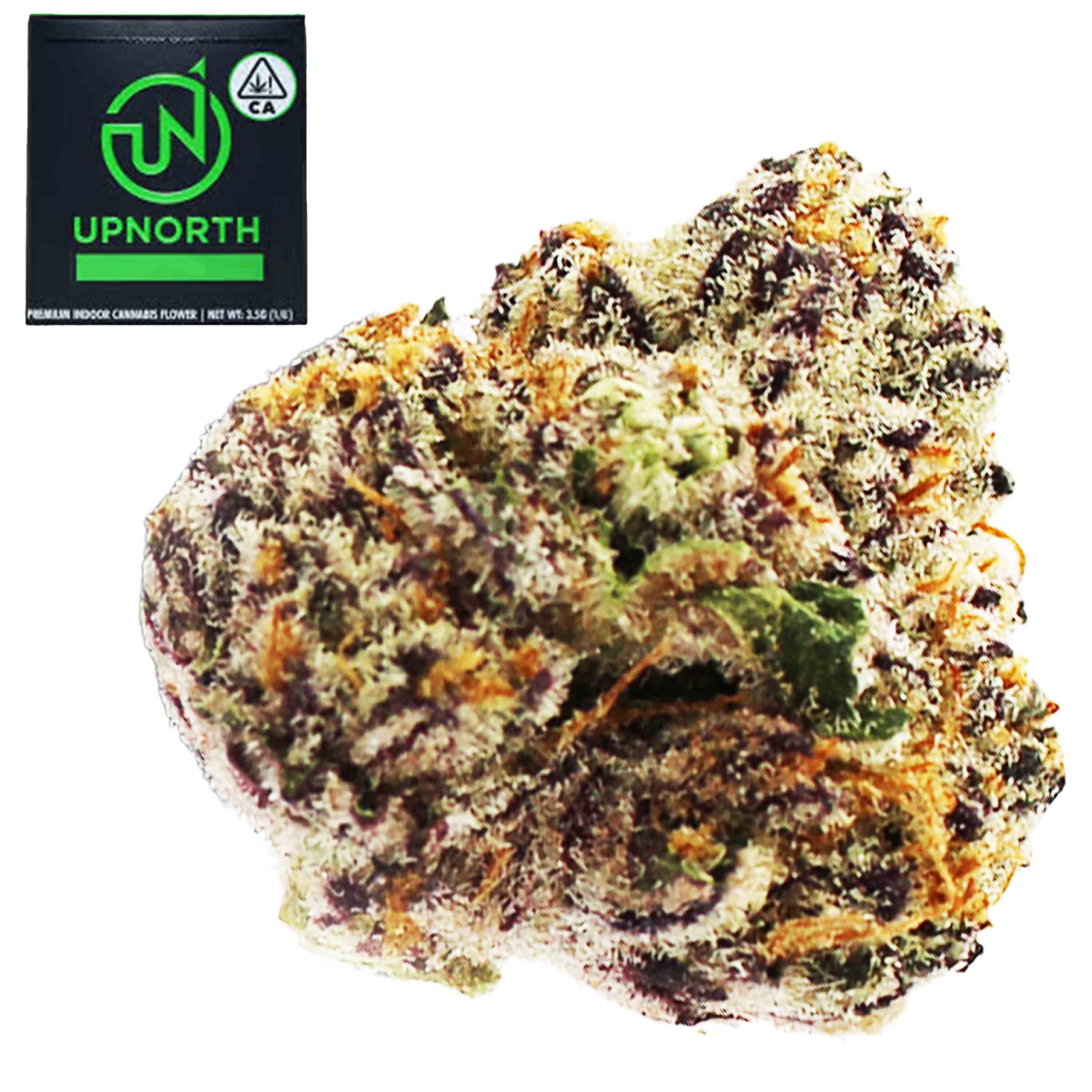 UpNorth Flower