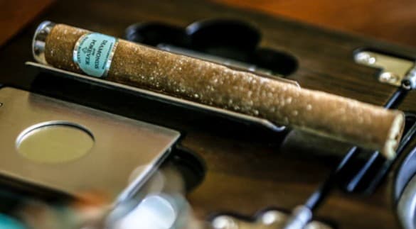 Albert Einstones El Blunto Especial Platinum Diamond - Azul 1.65g