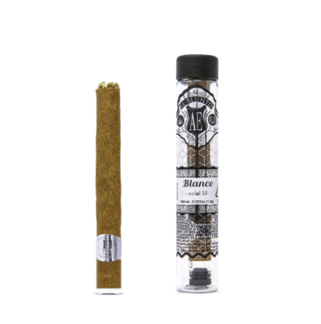 Albert Einstones El Blunto Gold - Blanco 1.5g