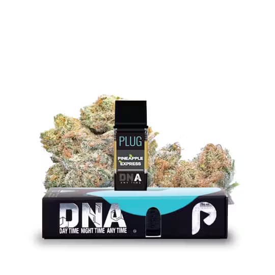 Plug Play Plug n Play | DNA | Cart 1g | H | Pineapple Express