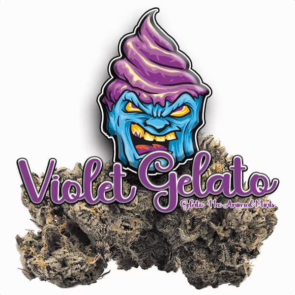 Green Dragon Violet Gelato - 3.5G