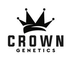 Crown Genetics CROWN GENETICS- TRAINWRECK SUGAR [S]