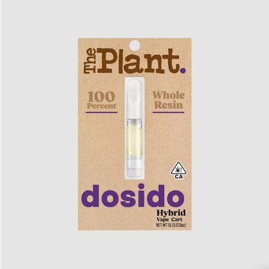 The Plant
