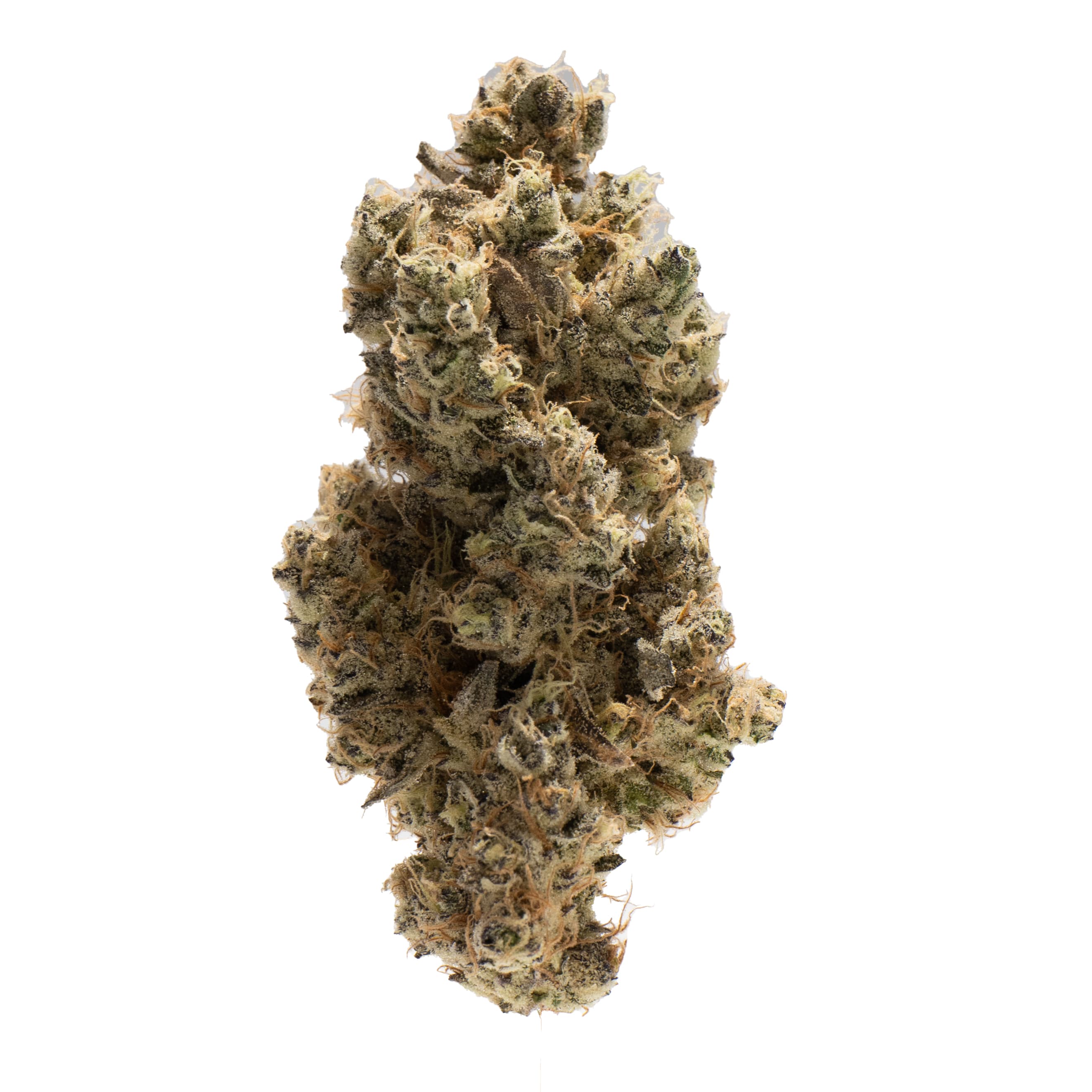 Jasper Jasper GovernMint Oasis (H) Flower 3.5g