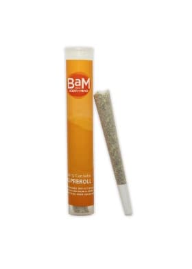 BaM BaM | Fruit Pie PR