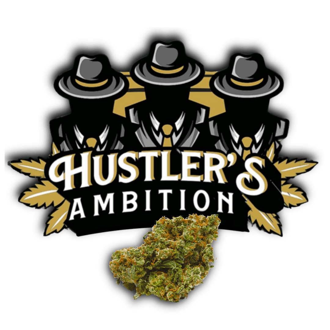 Hustler's Ambition Hustler's Ambition Bear Claw (H) Flower 3.5g