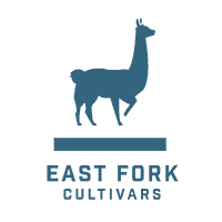 East Fork Cultivars Tinctures