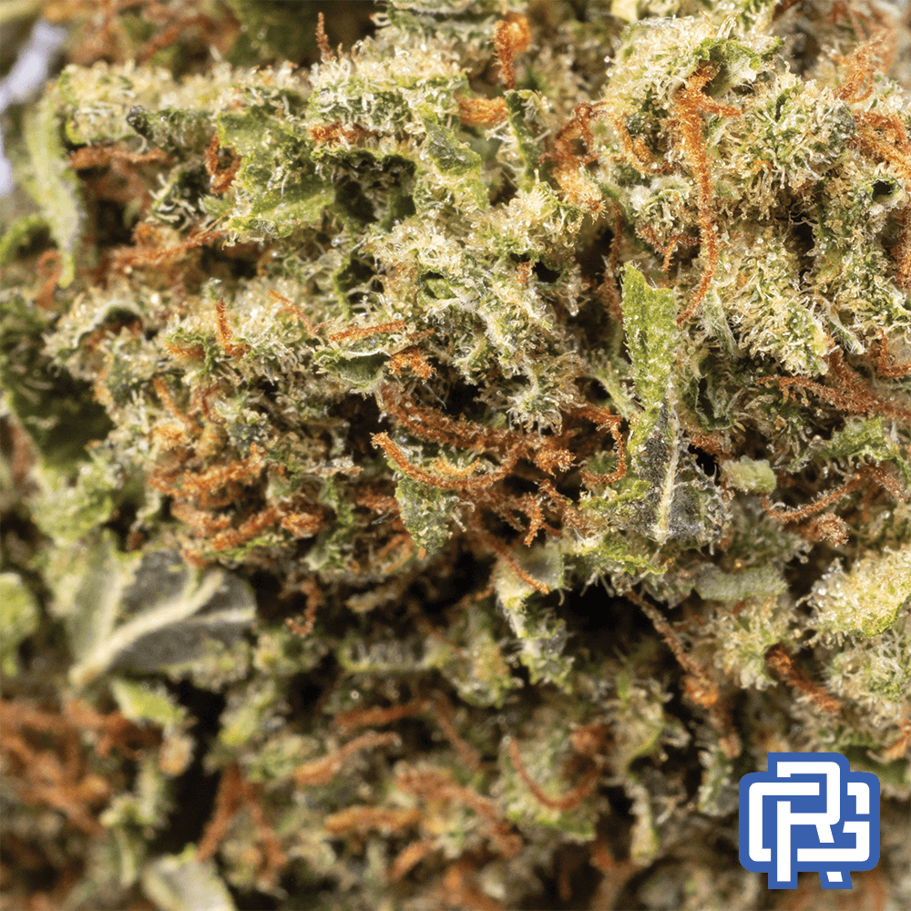 East Fork Cultivars Kush Petals Flower Quarter Special | East Fork Cultivars
