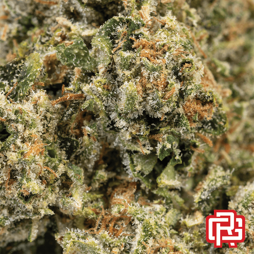 Earl Baker Ice Cream Man Flower | Earl Baker
