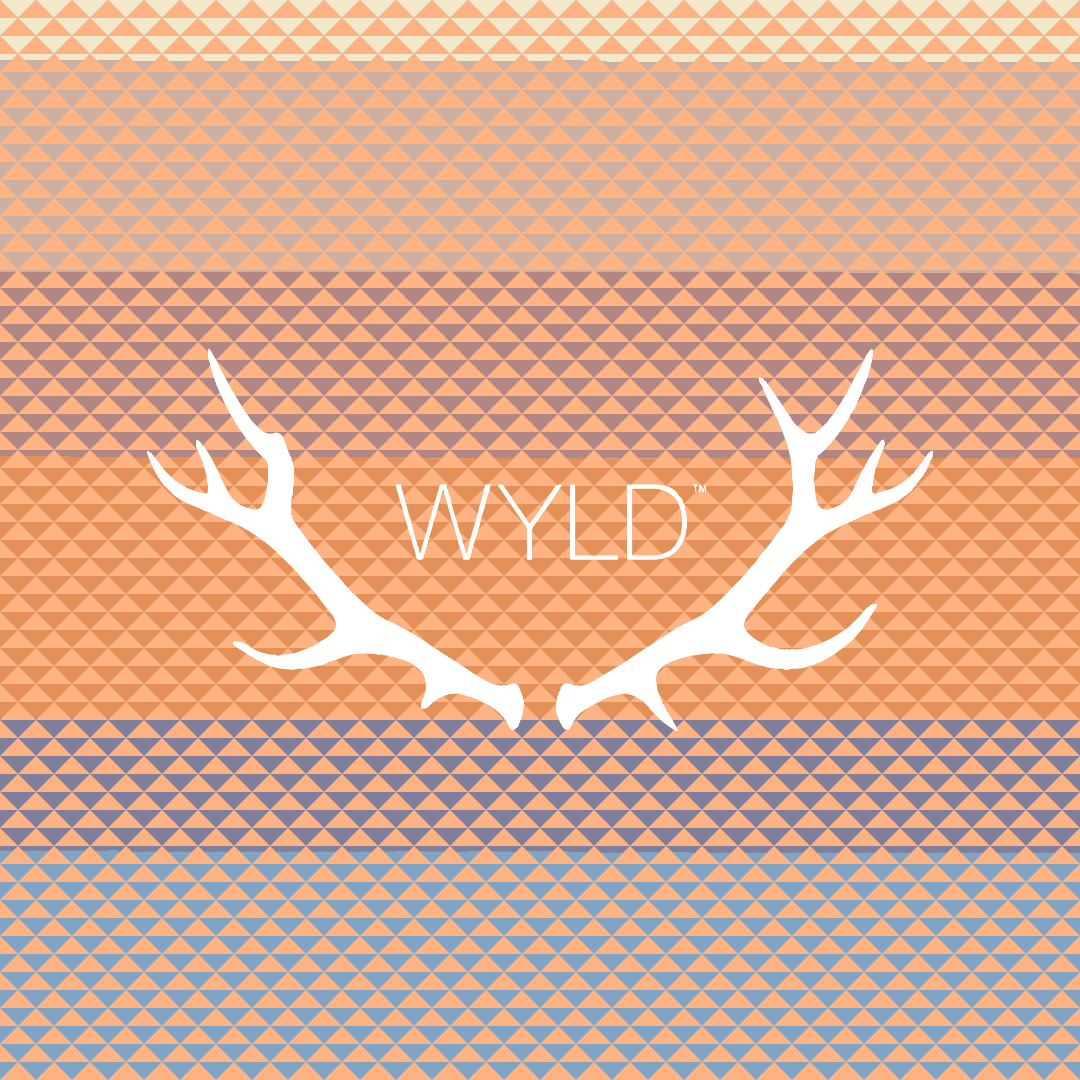 Wyld Peach 2:1 CBG 100 Gummy 10pc | Wyld