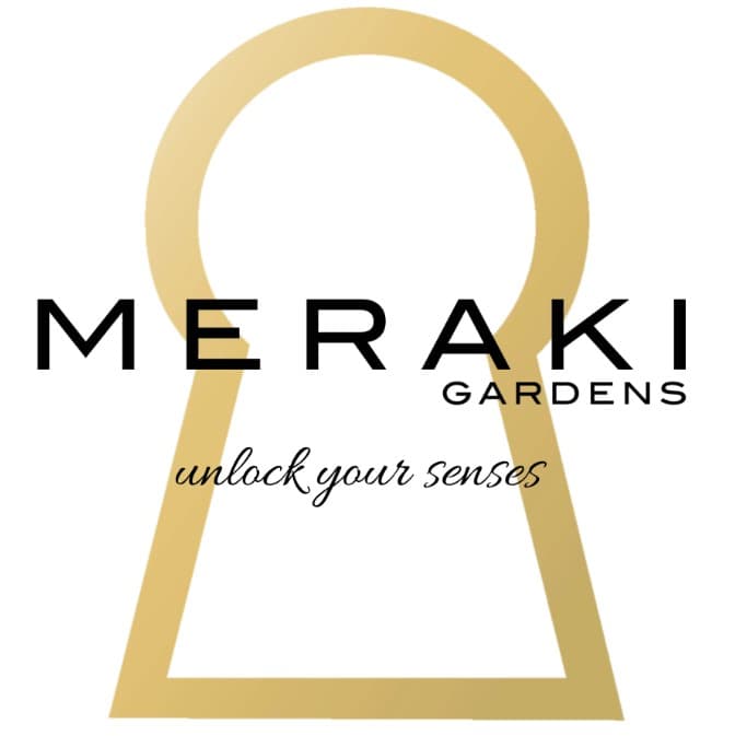 Meraki Gardens El Chivo 1G Preroll