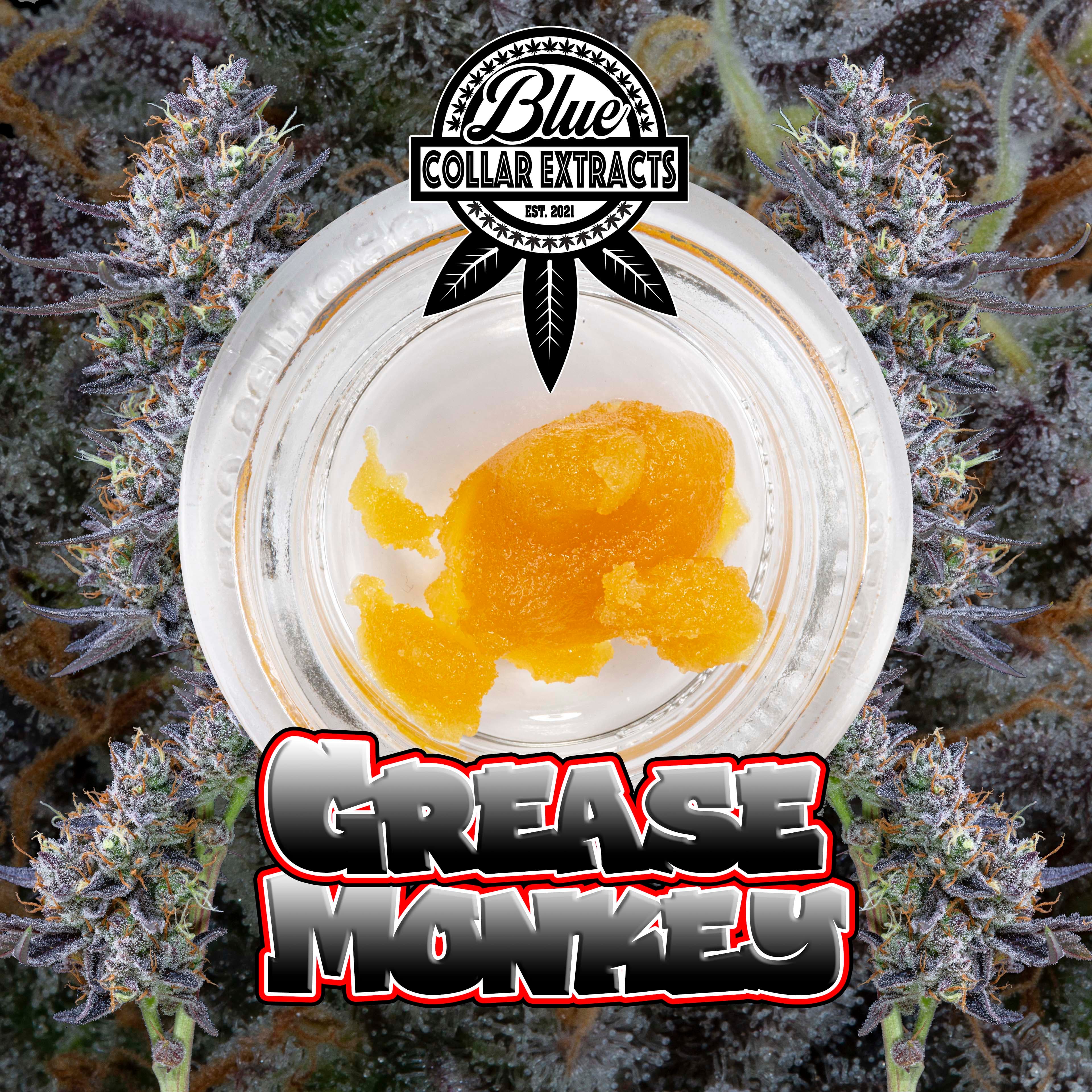 Blue Collar Grease Monkey | Sugar