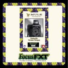Mule Extracts Galactic Green Grape Focus FXT Tank