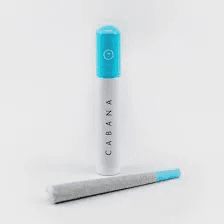 Cabana Premium Joint - Platinum Garlic Cookies