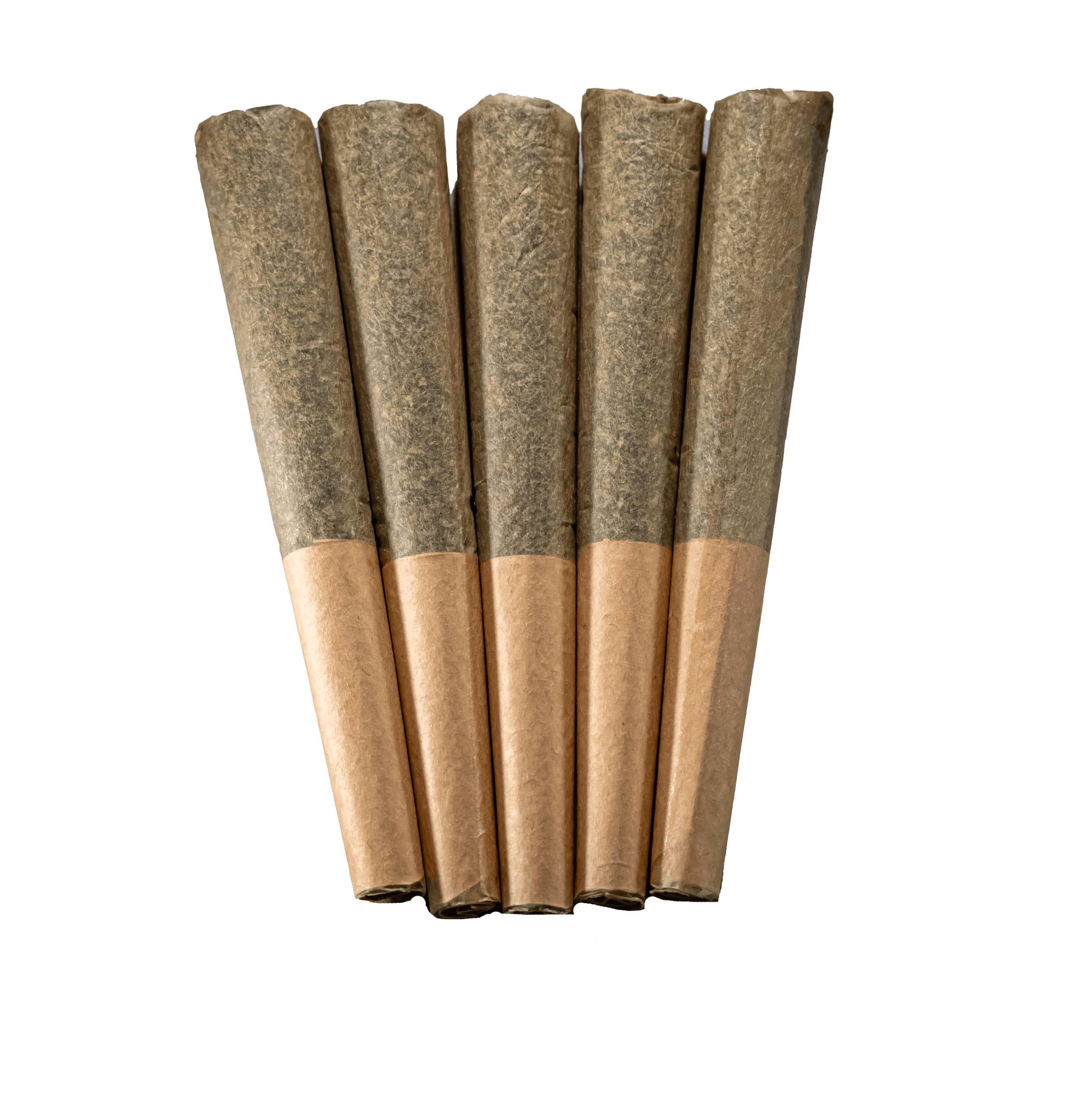 OG OG Gardens - Body Guard - 5Pack Joint
